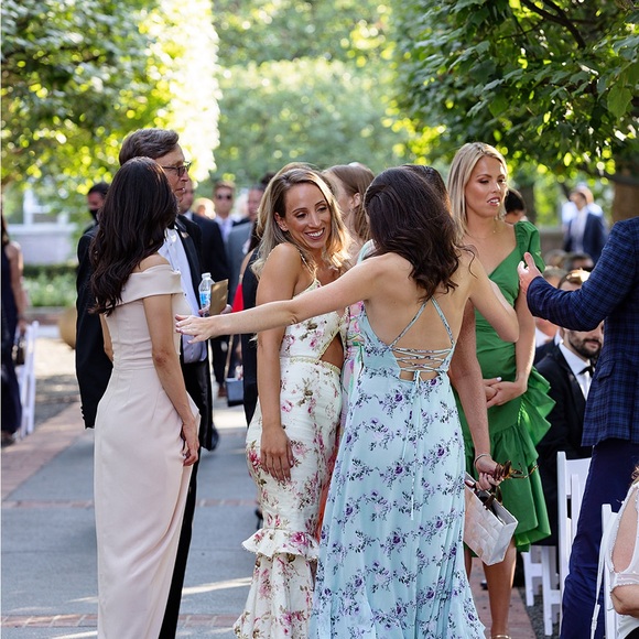 V. Chapman The Luna Dress in English Rose - Picture 3 of 3